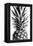 Pinapple Black a White 03-1x Studio III-Framed Premier Image Canvas