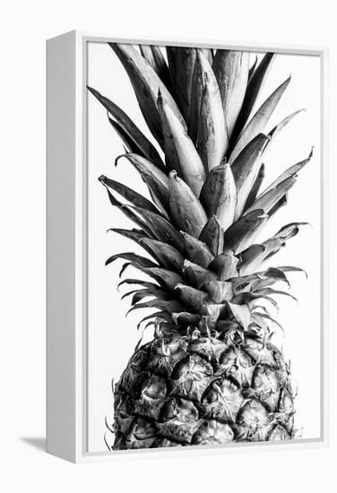 Pinapple Black a White 03-1x Studio III-Framed Premier Image Canvas