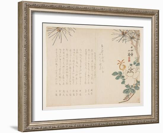 Pine and a Peony Flower, 1860-Tanomura Sh?sai-Framed Giclee Print