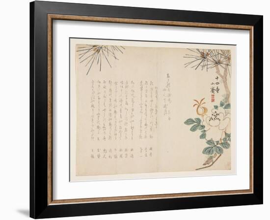 Pine and a Peony Flower, 1860-Tanomura Sh?sai-Framed Giclee Print