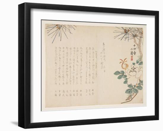 Pine and a Peony Flower, 1860-Tanomura Sh?sai-Framed Giclee Print