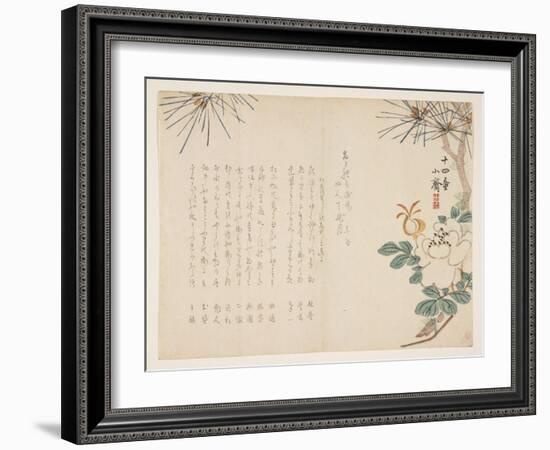 Pine and a Peony Flower, 1860-Tanomura Sh?sai-Framed Giclee Print