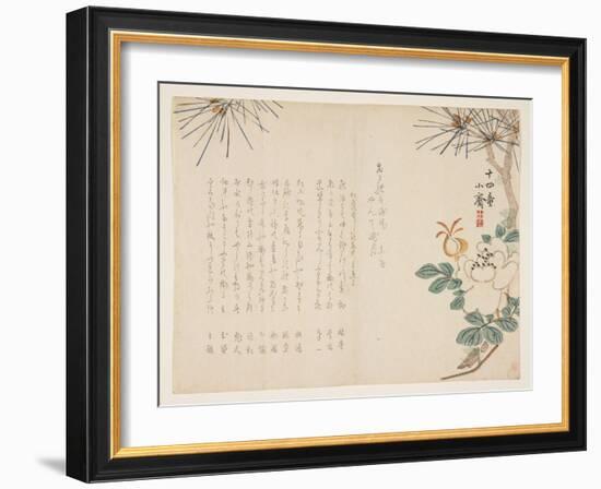 Pine and a Peony Flower, 1860-Tanomura Sh?sai-Framed Giclee Print