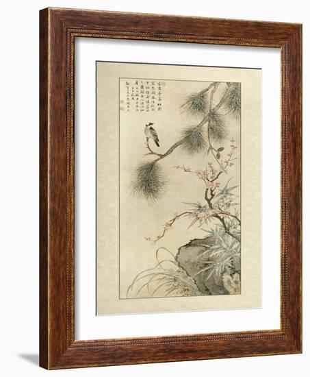 Pine and Bamboo-null-Framed Art Print