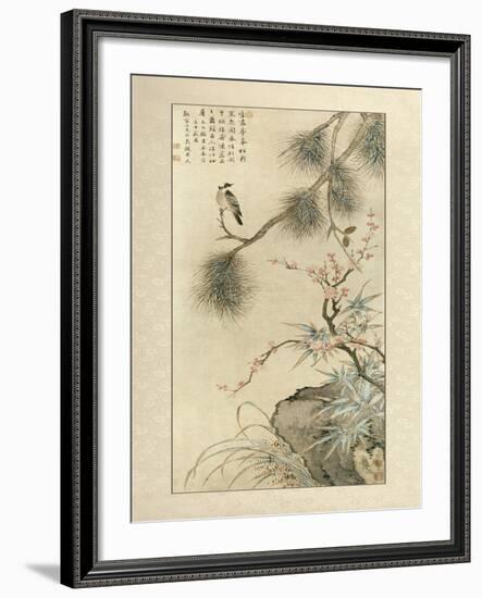 Pine and Bamboo-null-Framed Art Print