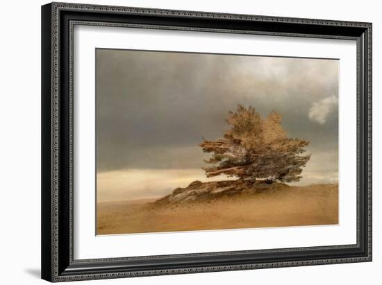 Pine and Dunes-Nel Talen-Framed Giclee Print