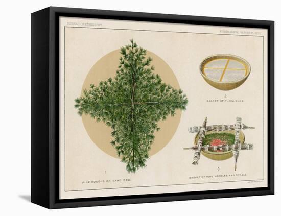 Pine Boughs on Sand Bed, Basket of Yucca Suds, Basket of Pine Needles and Corals-null-Framed Premier Image Canvas