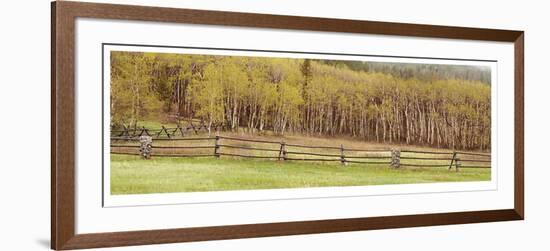 Pine Butte Conservancy Panorama-Donald Paulson-Framed Giclee Print