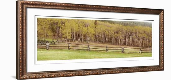 Pine Butte Conservancy Panorama-Donald Paulson-Framed Giclee Print