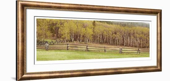 Pine Butte Conservancy Panorama-Donald Paulson-Framed Giclee Print