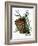 pine cone copy brochure-Debbi Wetzel-Framed Giclee Print