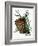 pine cone copy brochure-Debbi Wetzel-Framed Giclee Print