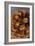 Pine Cone III-Kathy Mahan-Framed Photographic Print