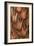 Pine Cone IV-Kathy Mahan-Framed Photographic Print