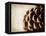 Pine Cone-Jessica Rogers-Framed Premier Image Canvas