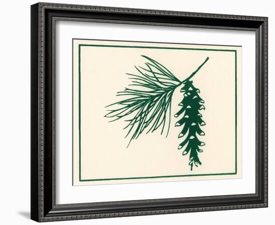 Pine Cone-Crockett Collection-Framed Giclee Print