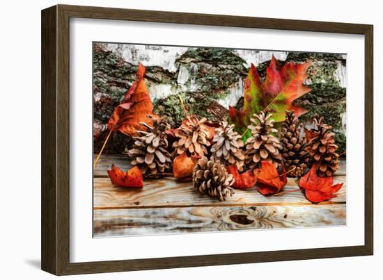 Pine Cones for Fall-Philippe Sainte-Laudy-Framed Photographic Print