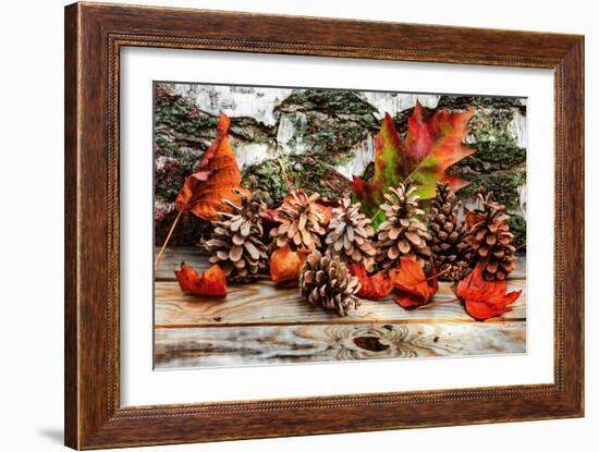 Pine Cones for Fall-Philippe Sainte-Laudy-Framed Photographic Print