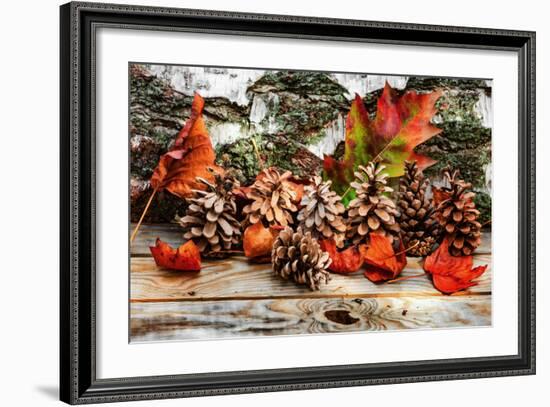 Pine Cones for Fall-Philippe Sainte-Laudy-Framed Photographic Print