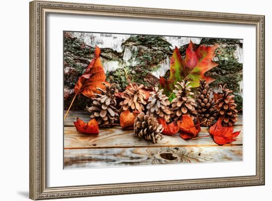 Pine Cones for Fall-Philippe Sainte-Laudy-Framed Photographic Print