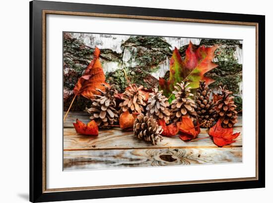 Pine Cones for Fall-Philippe Sainte-Laudy-Framed Photographic Print