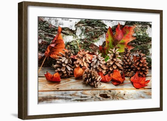 Pine Cones for Fall-Philippe Sainte-Laudy-Framed Photographic Print