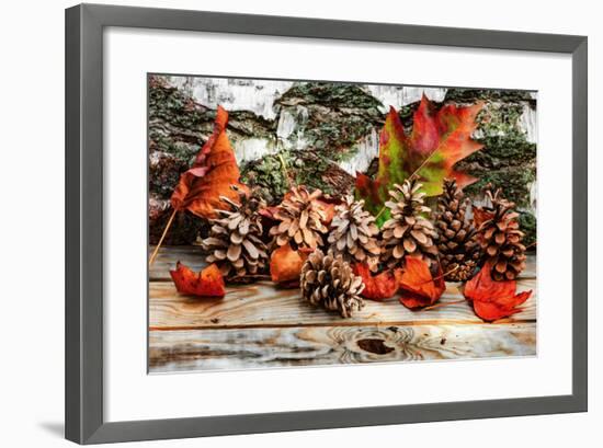 Pine Cones for Fall-Philippe Sainte-Laudy-Framed Photographic Print