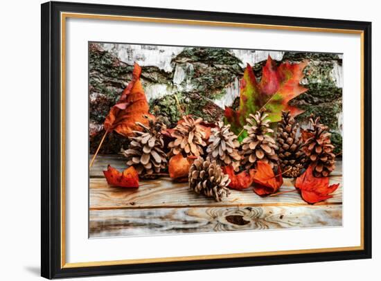 Pine Cones for Fall-Philippe Sainte-Laudy-Framed Photographic Print
