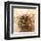 Pine Cones In Nest-Glen and Gayle Wans-Framed Giclee Print