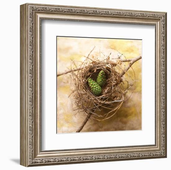 Pine Cones In Nest-Glen and Gayle Wans-Framed Giclee Print