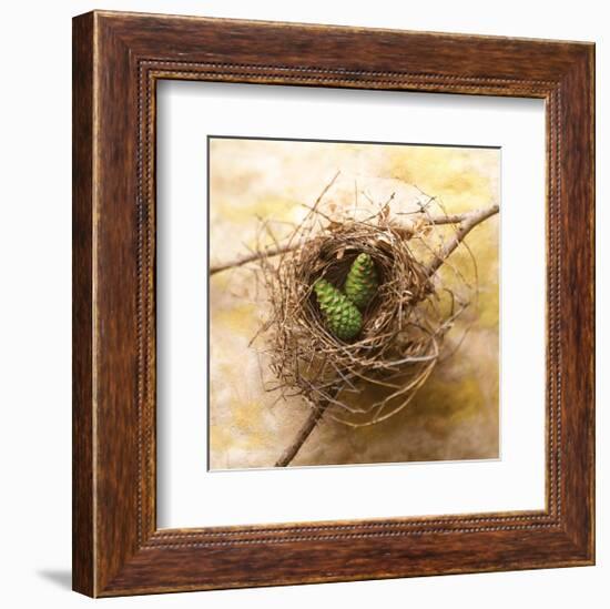 Pine Cones In Nest-Glen and Gayle Wans-Framed Giclee Print