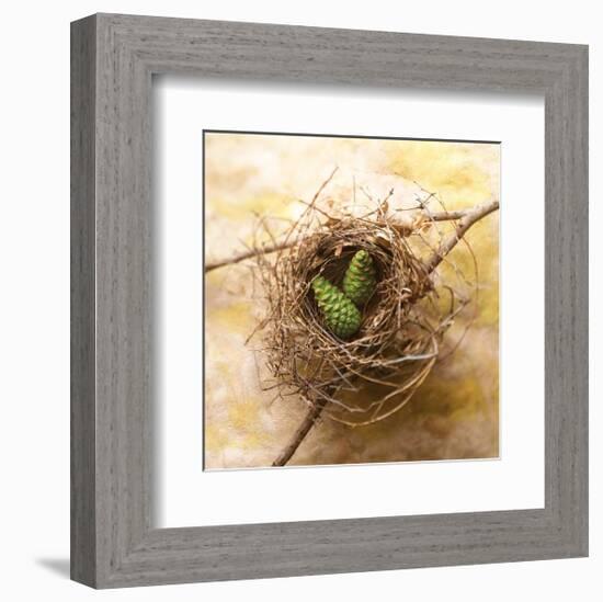 Pine Cones In Nest-Glen and Gayle Wans-Framed Giclee Print