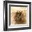 Pine Cones In Nest-Glen and Gayle Wans-Framed Giclee Print