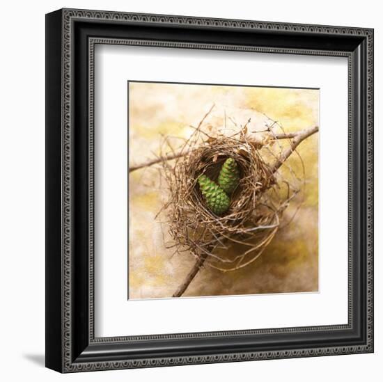 Pine Cones In Nest-Glen and Gayle Wans-Framed Giclee Print