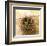 Pine Cones In Nest-Glen and Gayle Wans-Framed Giclee Print