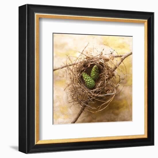 Pine Cones In Nest-Glen and Gayle Wans-Framed Giclee Print