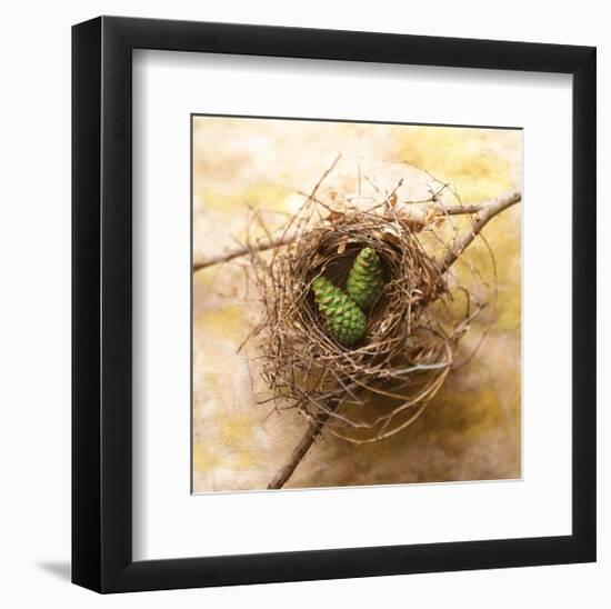 Pine Cones In Nest-Glen and Gayle Wans-Framed Giclee Print