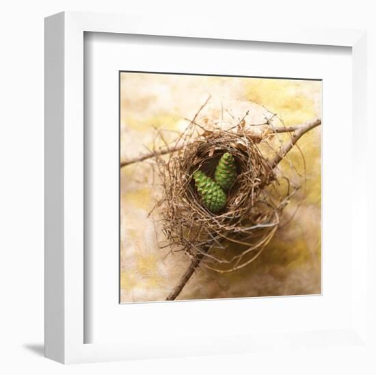 Pine Cones In Nest-Glen and Gayle Wans-Framed Giclee Print