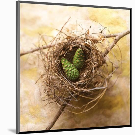 Pine Cones In Nest-Glen and Gayle Wans-Mounted Giclee Print
