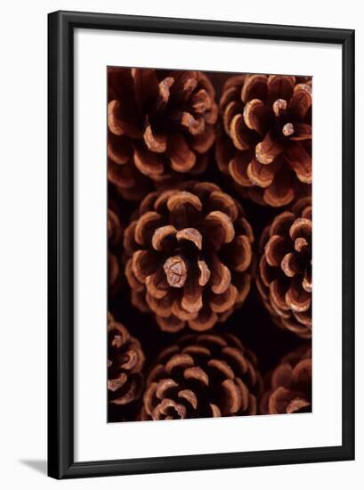 Pine Cones-Den Reader-Framed Photographic Print