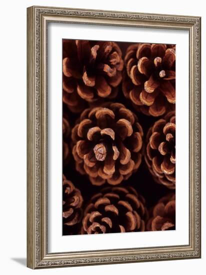 Pine Cones-Den Reader-Framed Photographic Print