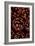 Pine Cones-Den Reader-Framed Photographic Print