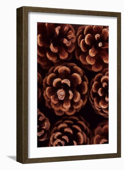 Pine Cones-Den Reader-Framed Photographic Print