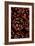 Pine Cones-Den Reader-Framed Photographic Print