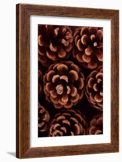 Pine Cones-Den Reader-Framed Photographic Print