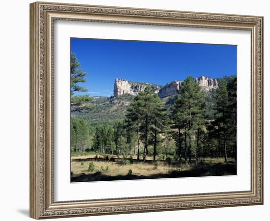 Pine Forest and Cliffs Above the Jucar Gorge, Cuenca, Castilla-La Mancha (New Castile), Spain-Ruth Tomlinson-Framed Photographic Print