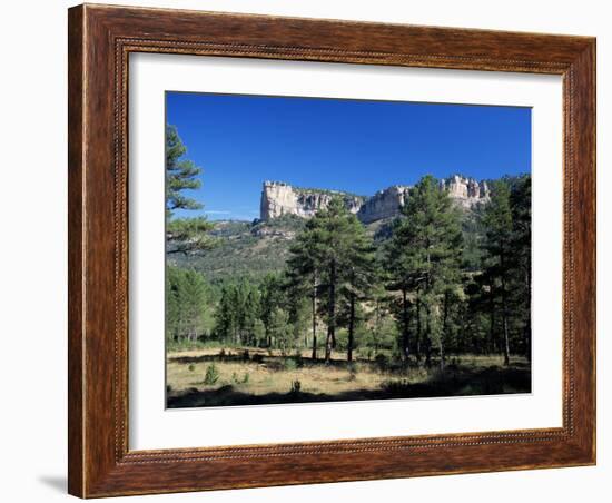 Pine Forest and Cliffs Above the Jucar Gorge, Cuenca, Castilla-La Mancha (New Castile), Spain-Ruth Tomlinson-Framed Photographic Print