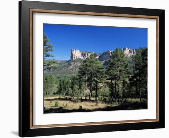 Pine Forest and Cliffs Above the Jucar Gorge, Cuenca, Castilla-La Mancha (New Castile), Spain-Ruth Tomlinson-Framed Photographic Print