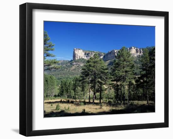 Pine Forest and Cliffs Above the Jucar Gorge, Cuenca, Castilla-La Mancha (New Castile), Spain-Ruth Tomlinson-Framed Photographic Print