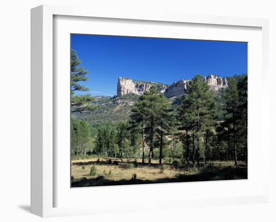 Pine Forest and Cliffs Above the Jucar Gorge, Cuenca, Castilla-La Mancha (New Castile), Spain-Ruth Tomlinson-Framed Photographic Print